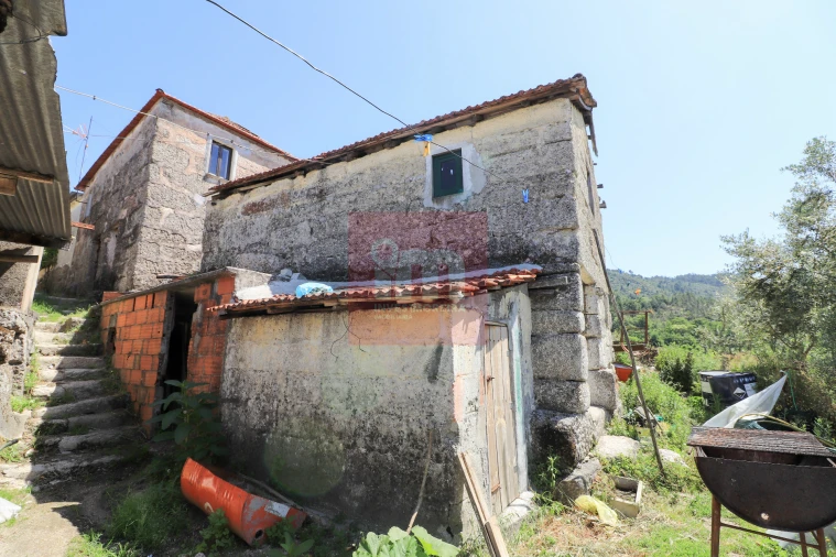 Quinta T0 para Venda em Amarante (São Gonçalo), Madalena, Cepelos e Gatão Foto 8