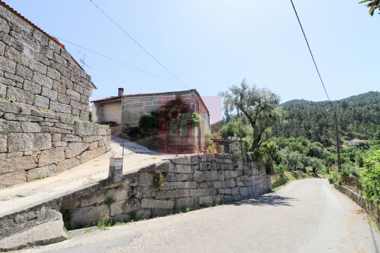 Quinta T0 para Venda em Amarante (São Gonçalo), Madalena, Cepelos e Gatão Foto 2