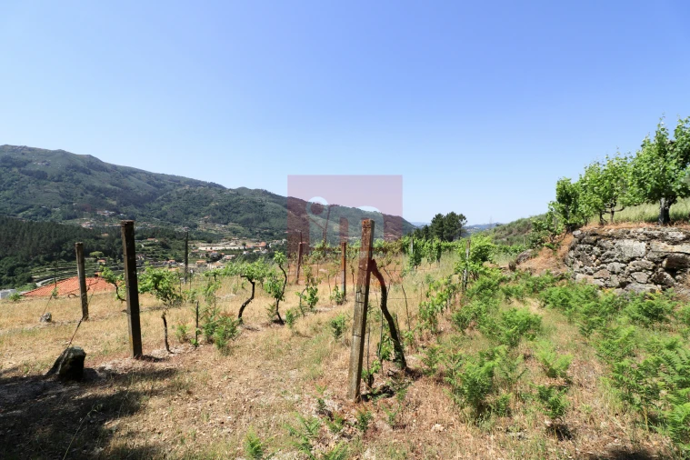 Quinta T0 para Venda em Amarante (São Gonçalo), Madalena, Cepelos e Gatão Foto 57