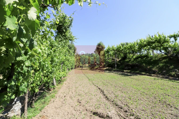 Quinta T0 para Venda em Amarante (São Gonçalo), Madalena, Cepelos e Gatão Foto 39