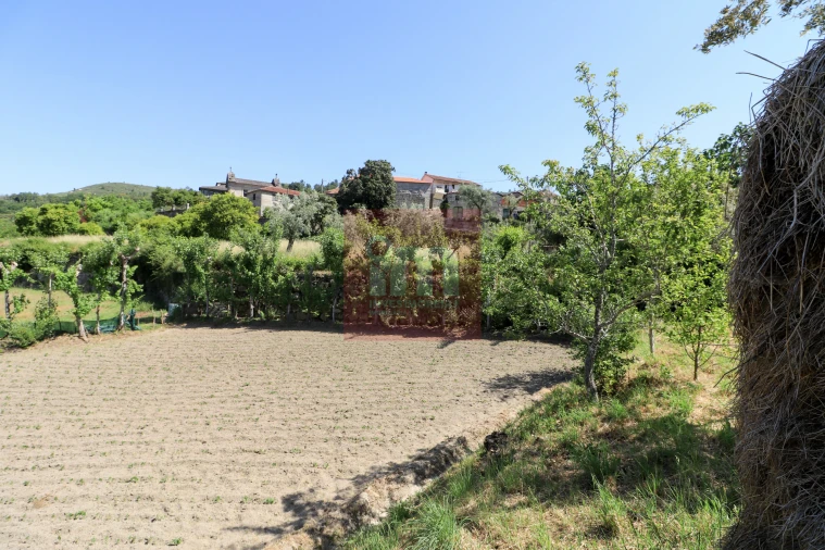 Quinta T0 para Venda em Amarante (São Gonçalo), Madalena, Cepelos e Gatão Foto 35