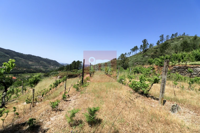 Quinta T0 para Venda em Amarante (São Gonçalo), Madalena, Cepelos e Gatão Foto 47