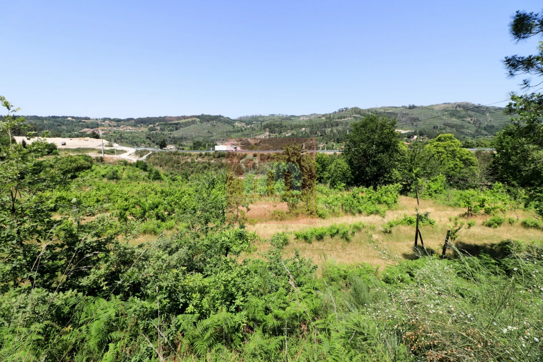 Quinta T0 para Venda em Amarante (São Gonçalo), Madalena, Cepelos e Gatão Foto 27