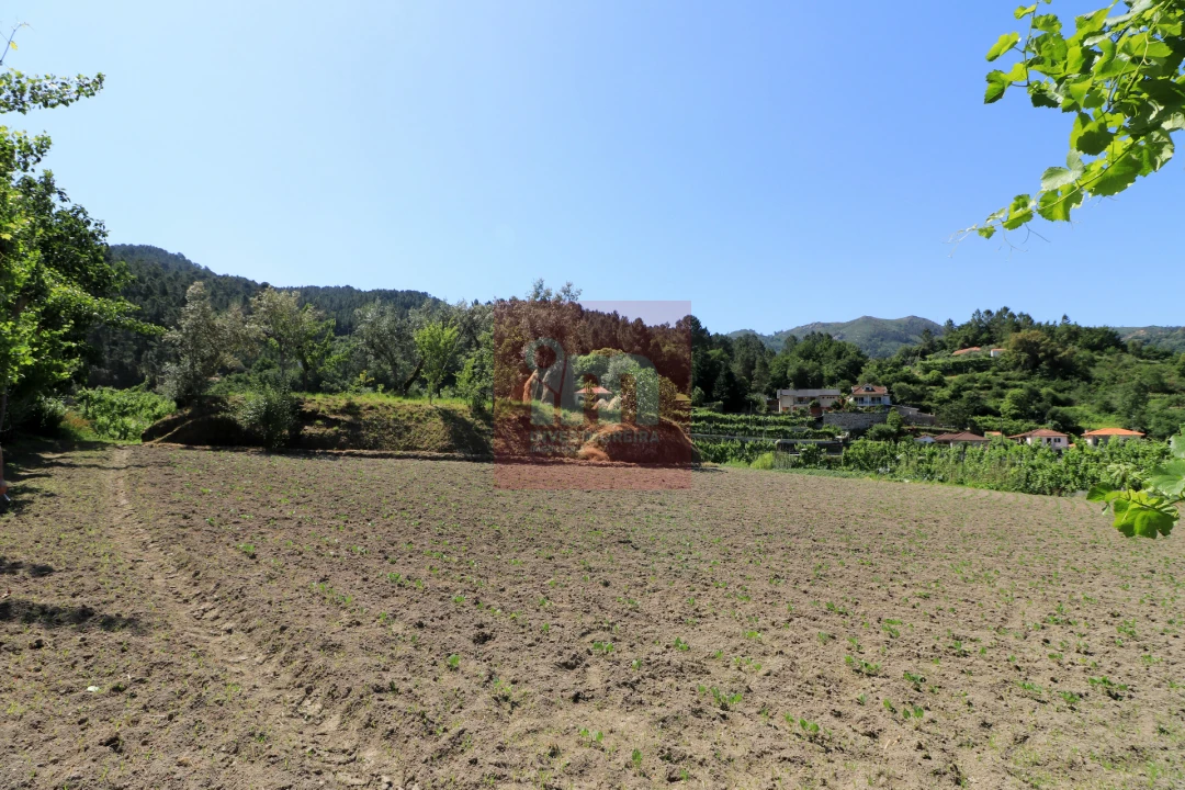 Quinta T0 para Venda em Amarante (São Gonçalo), Madalena, Cepelos e Gatão Foto 38