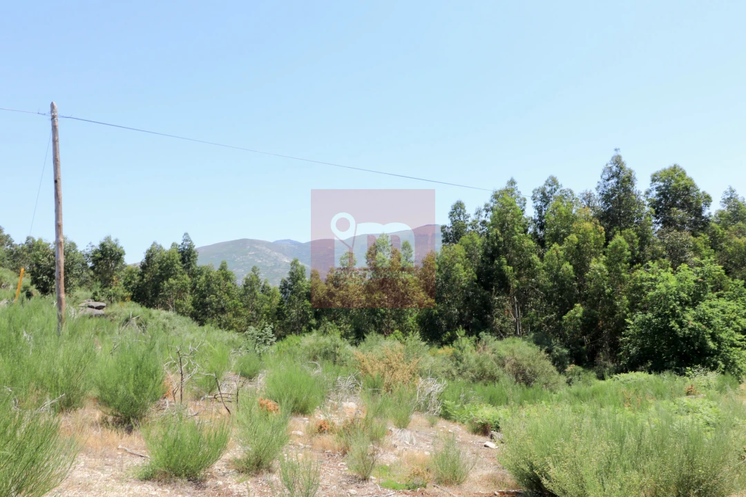 Quinta T0 para Venda em Amarante (São Gonçalo), Madalena, Cepelos e Gatão Foto 19