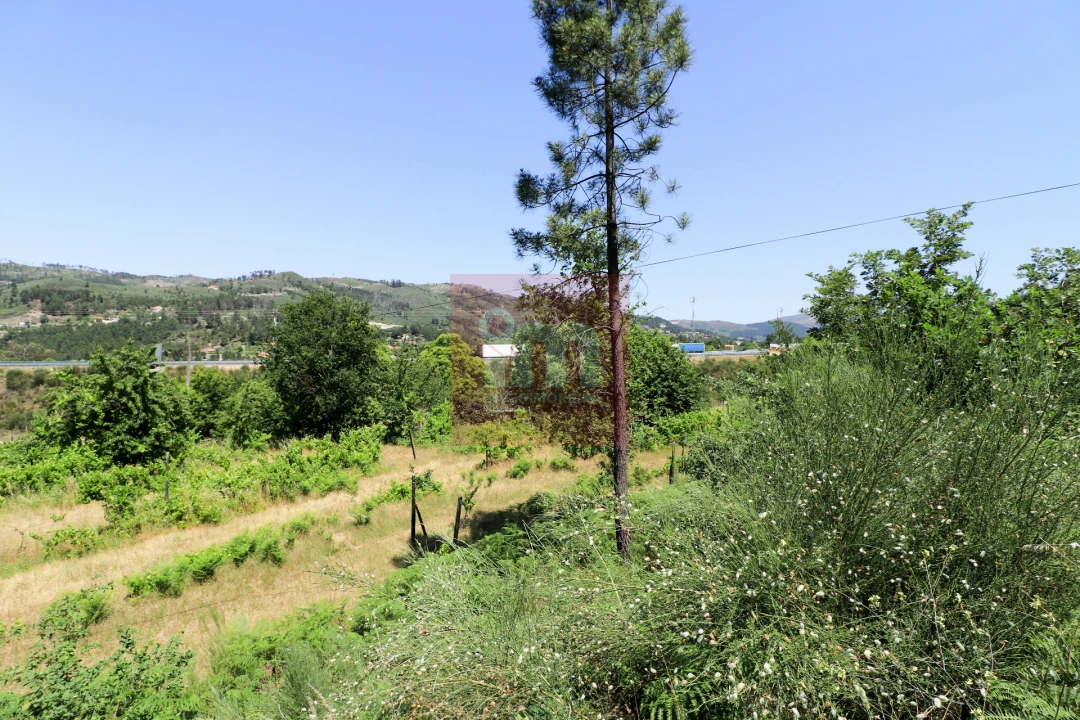 Quinta T0 para Venda em Amarante (São Gonçalo), Madalena, Cepelos e Gatão Foto 28