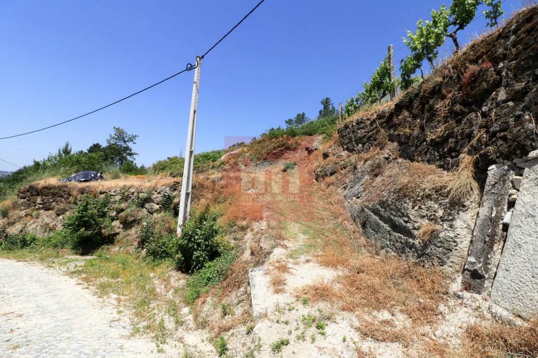 Quinta T0 para Venda em Amarante (São Gonçalo), Madalena, Cepelos e Gatão Foto 56