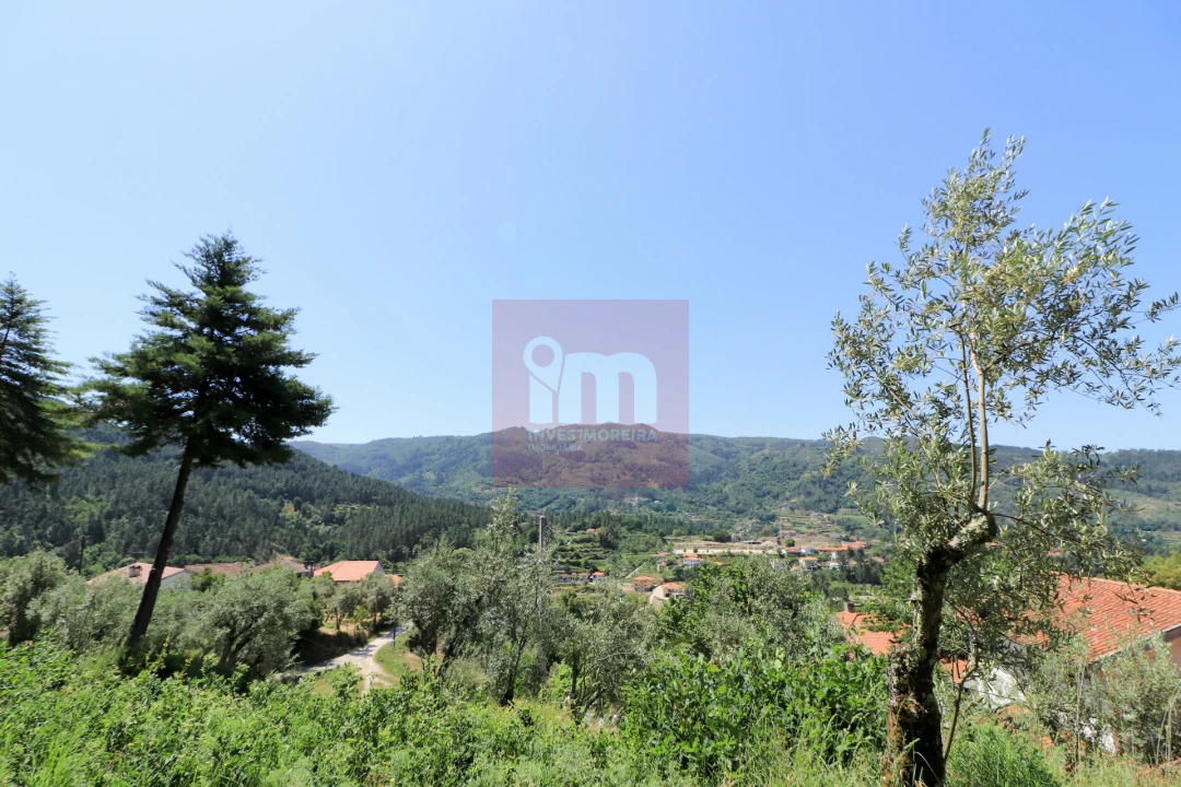 Quinta T0 para Venda em Amarante (São Gonçalo), Madalena, Cepelos e Gatão Foto 25