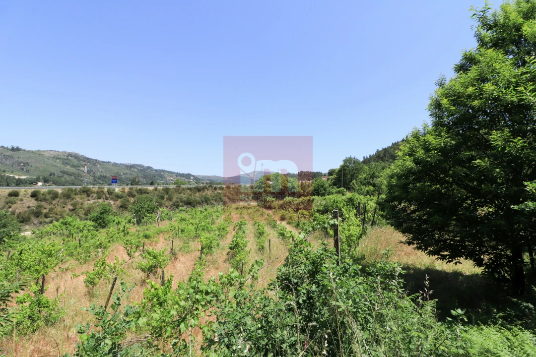 Quinta T0 para Venda em Amarante (São Gonçalo), Madalena, Cepelos e Gatão Foto 31