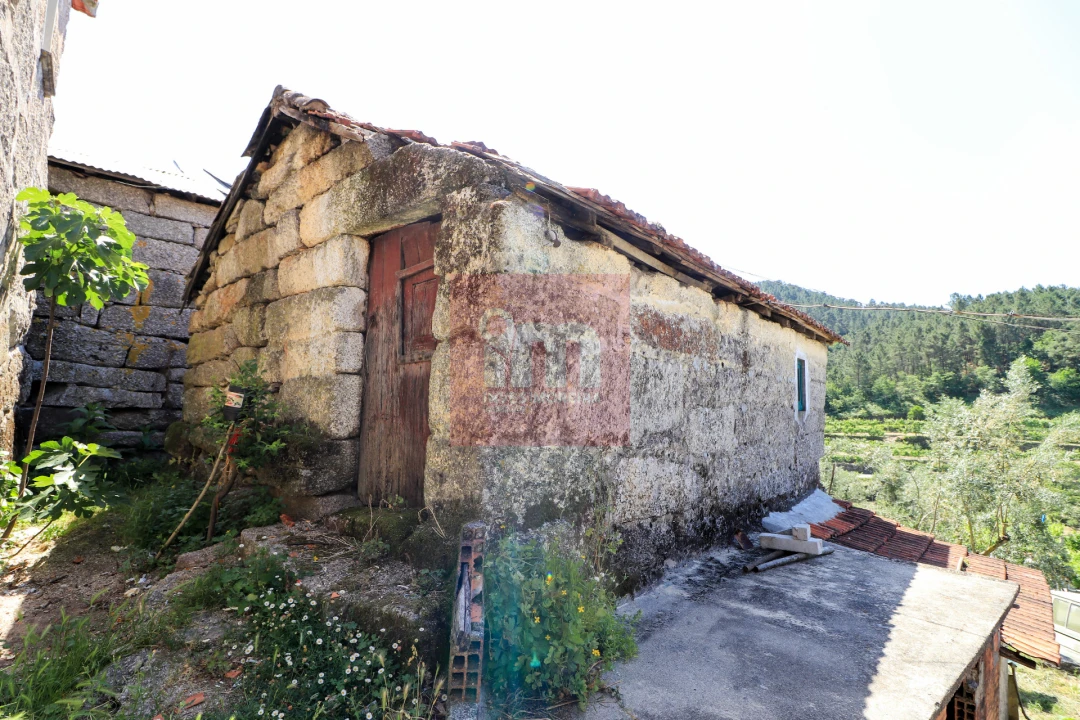 Quinta T0 para Venda em Amarante (São Gonçalo), Madalena, Cepelos e Gatão Foto 9