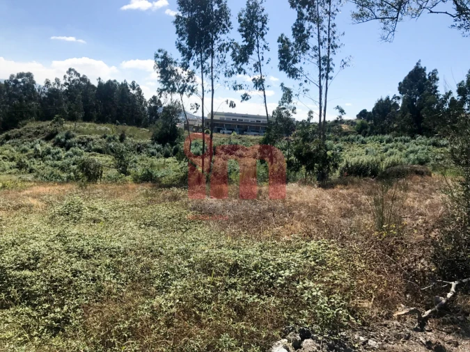 Terreno para Venda em Lordelo Foto 16