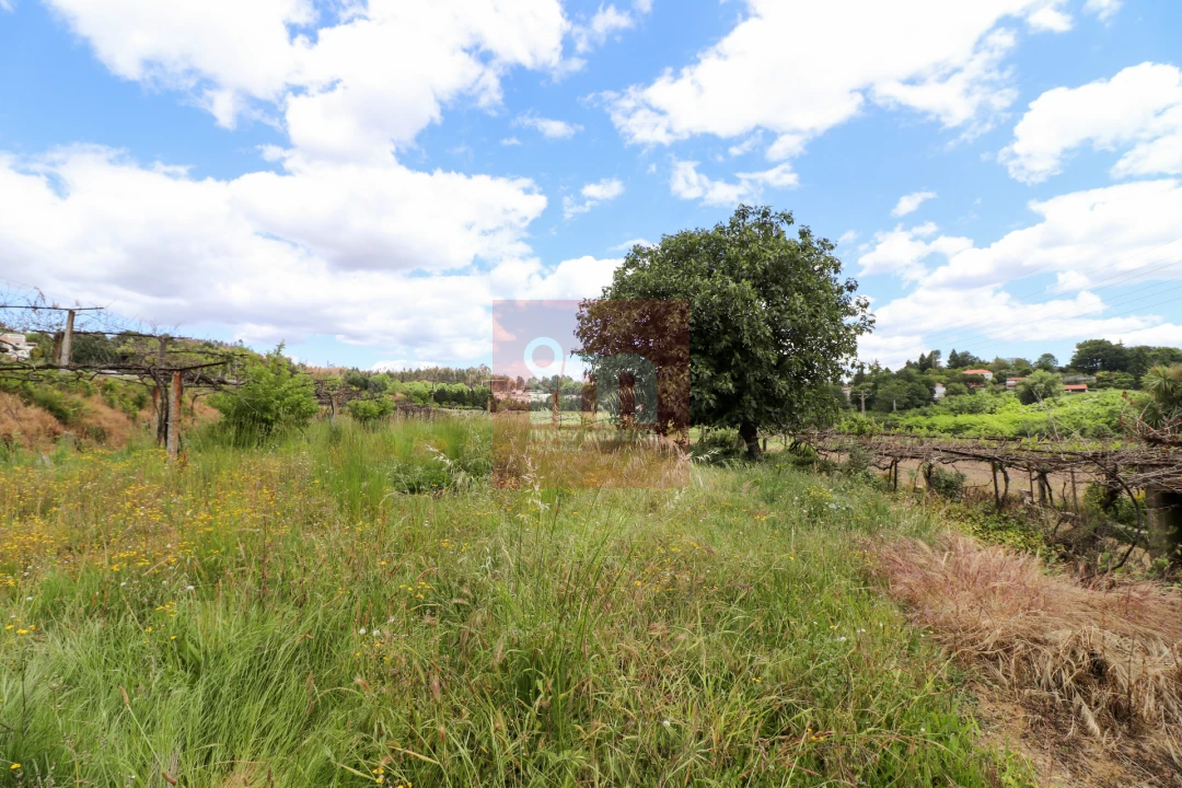 Quinta T0 para Venda em Selho (São Jorge) Foto 12