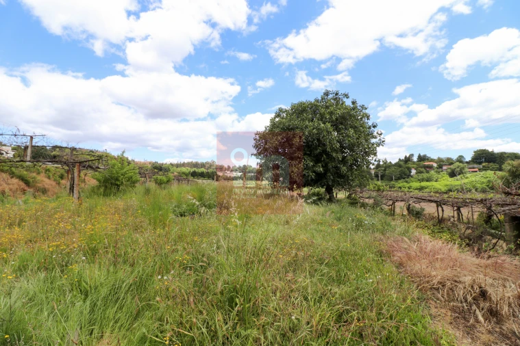 Quinta T0 para Venda em Selho (São Jorge) Foto 12