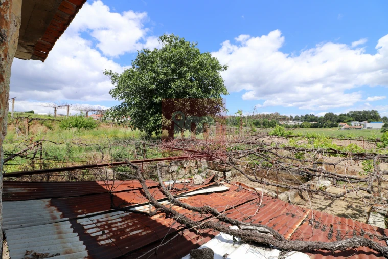 Quinta T0 para Venda em Selho (São Jorge) Foto 39