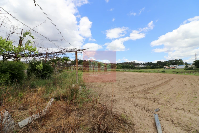 Quinta T0 para Venda em Selho (São Jorge) Foto 57