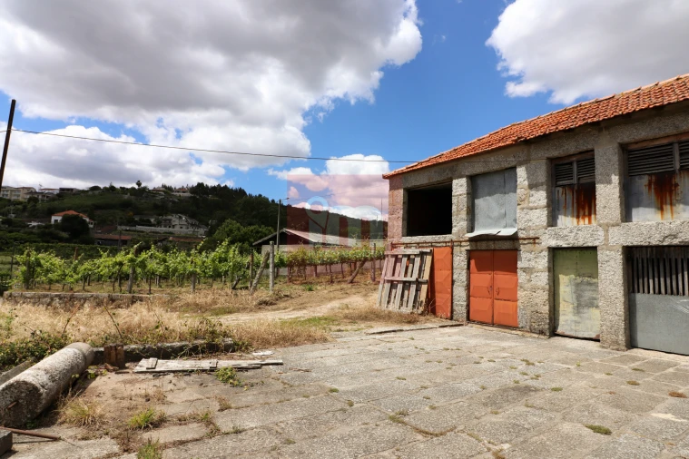 Quinta T0 para Venda em Selho (São Jorge) Foto 6