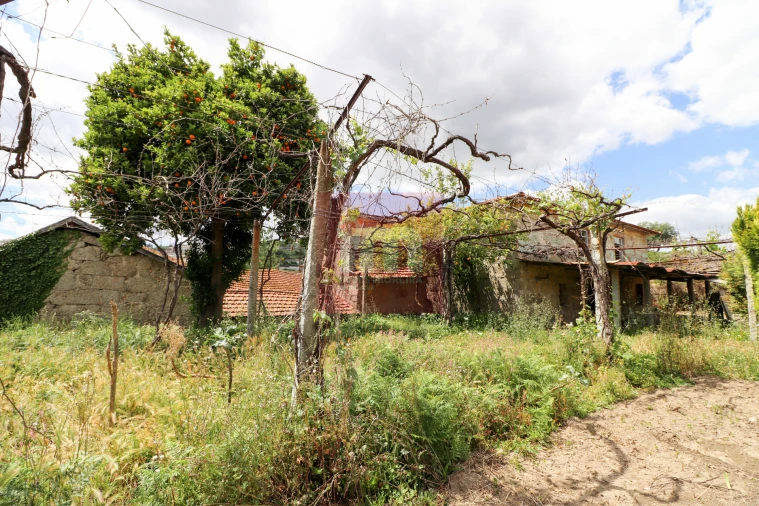 Quinta T0 para Venda em Selho (São Jorge) Foto 59