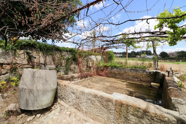 Quinta T0 para Venda em Selho (São Jorge) Foto 55