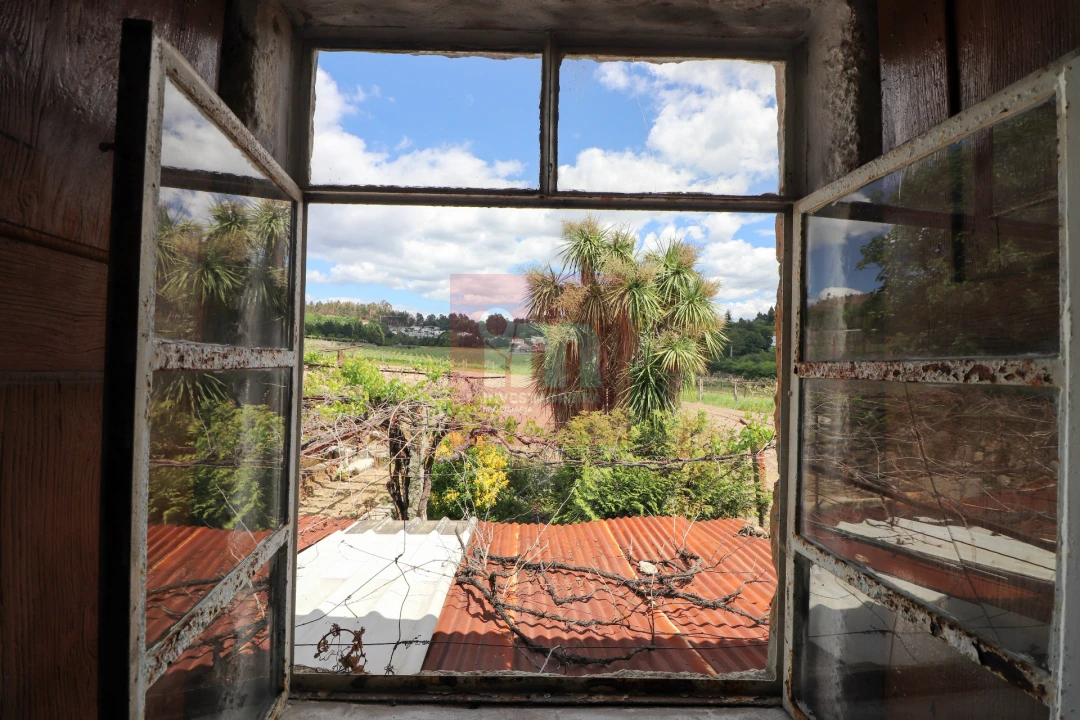 Quinta T0 para Venda em Selho (São Jorge) Foto 37