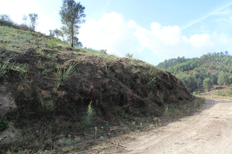 Terreno para Venda em Caldas de Vizela (São Miguel e São João)