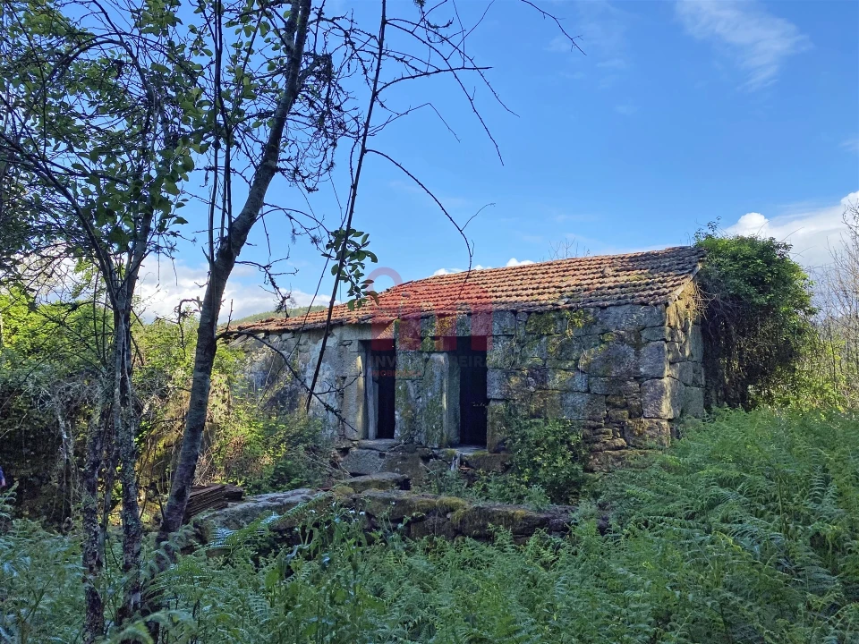 Terreno Misto para Venda em Atei Foto 1