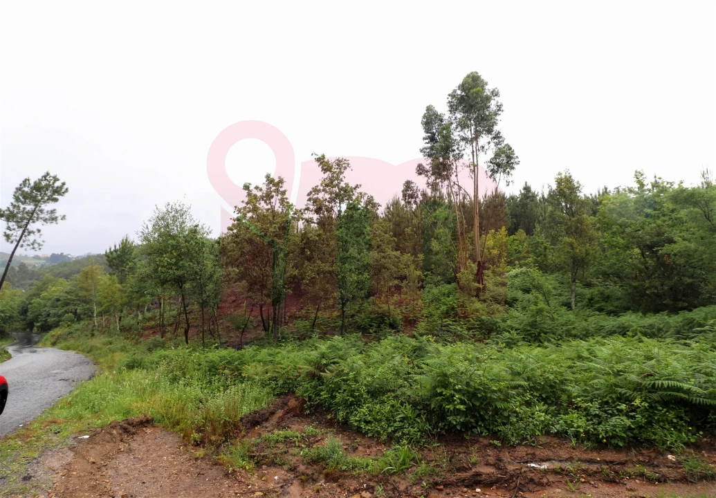 Terreno Misto para Venda em Atei Foto 3