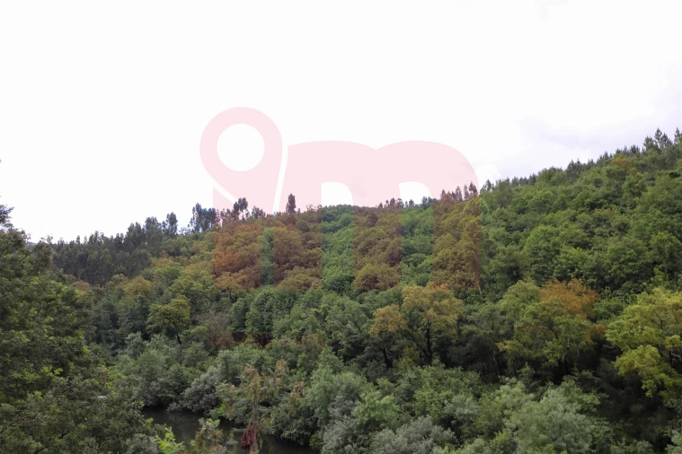 Terreno Misto para Venda em Atei Foto 5