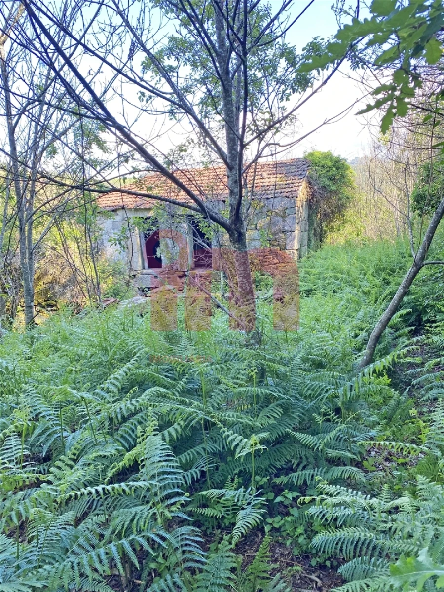 Terreno Misto para Venda em Atei Foto 8
