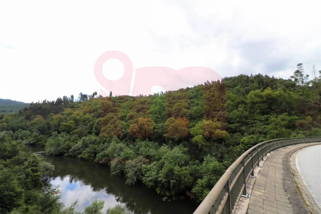 Terreno Misto para Venda em Atei Foto 6