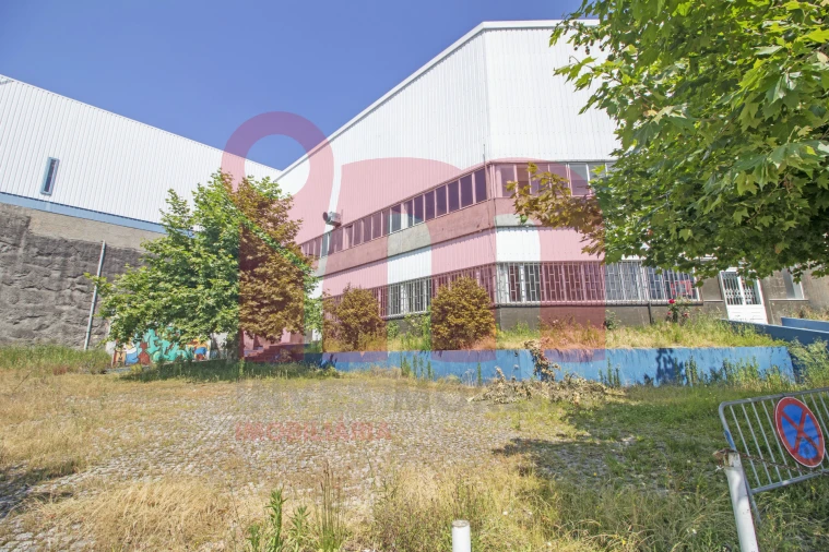 Loja para Arrendamento em Moreira de Conegos