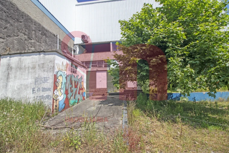 Loja para Arrendamento em Moreira de Conegos Foto 10