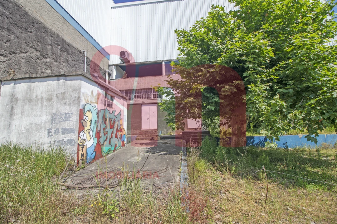 Loja para Arrendamento em Moreira de Conegos Foto 10