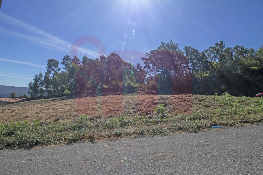 Terreno para Venda em Roriz Foto 3