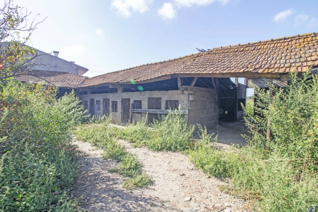 Quinta T5 para Venda em Macieira da Maia Foto 10