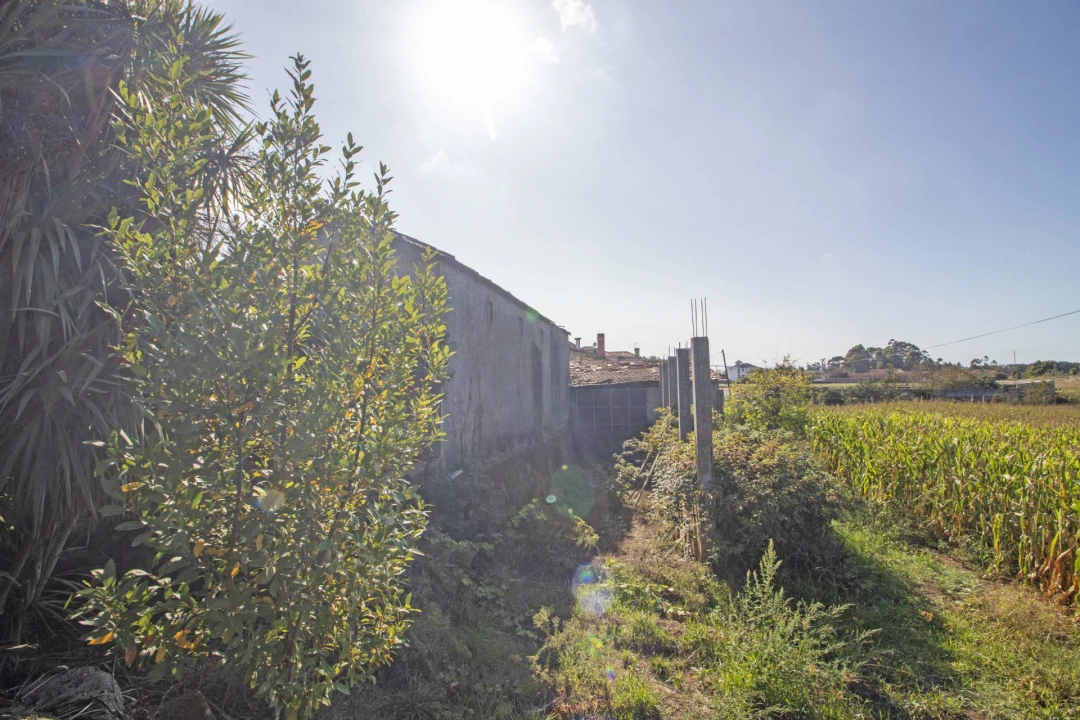 Quinta T5 para Venda em Macieira da Maia Foto 16