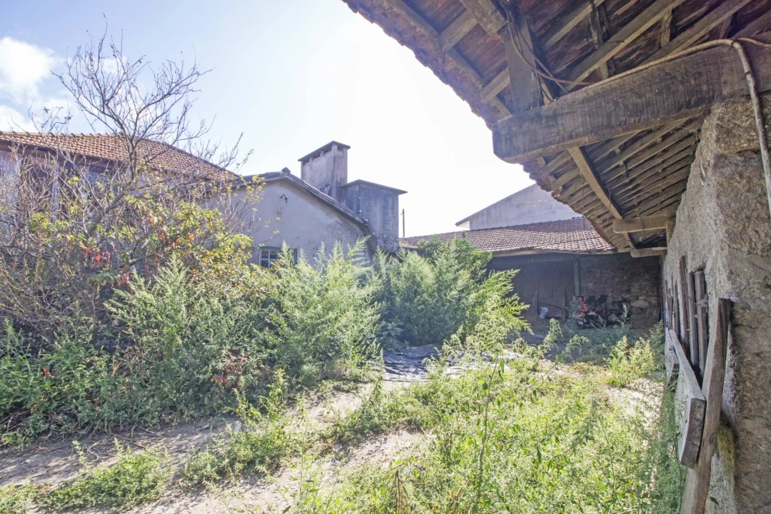 Quinta T5 para Venda em Macieira da Maia Foto 5