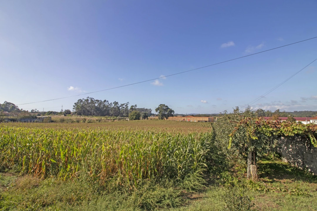 Quinta T5 para Venda em Macieira da Maia Foto 19