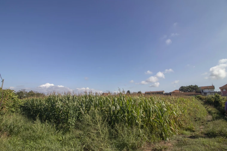 Quinta T5 para Venda em Macieira da Maia Foto 15