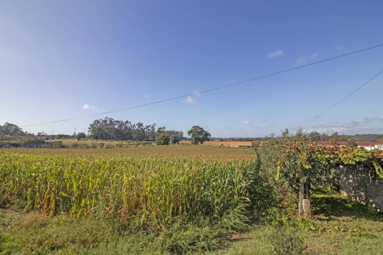 Quinta T5 para Venda em Macieira da Maia Foto 19