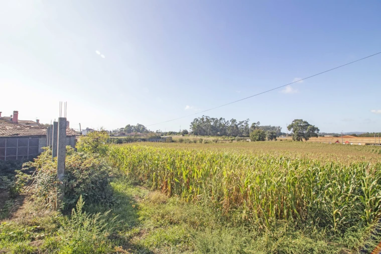Quinta T5 para Venda em Macieira da Maia Foto 17