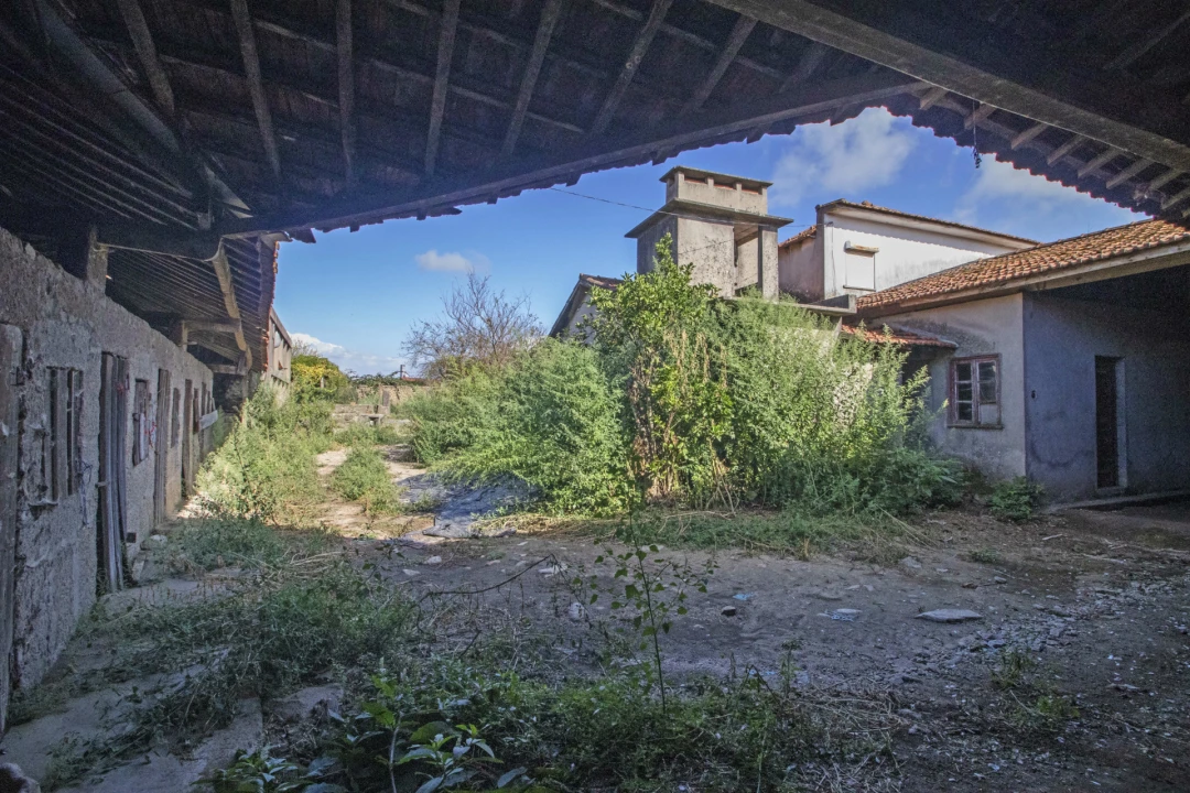 Quinta T5 para Venda em Macieira da Maia Foto 6