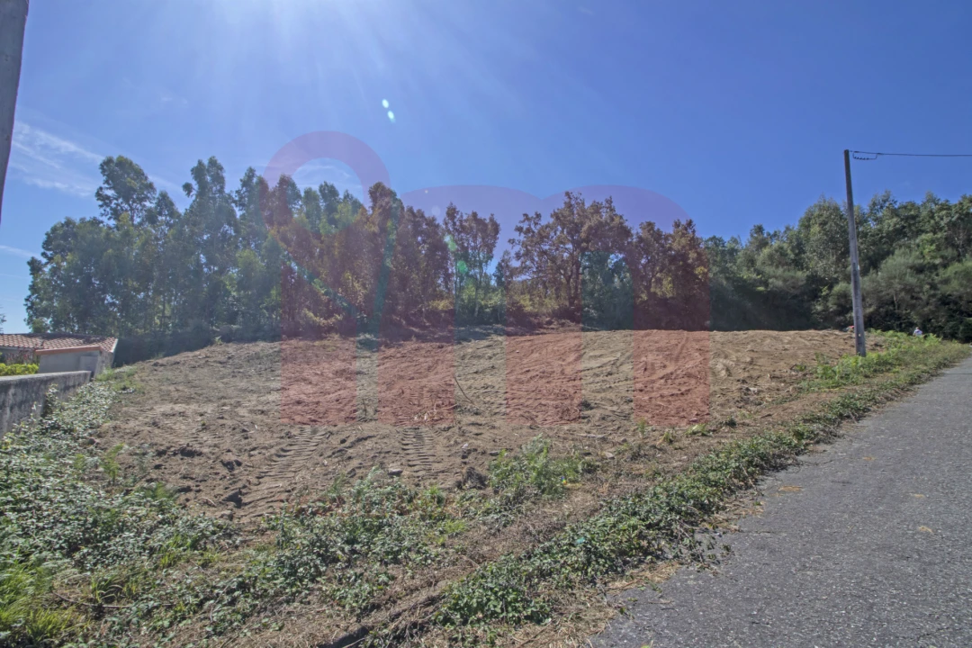 Terreno para Venda em Roriz Foto 5