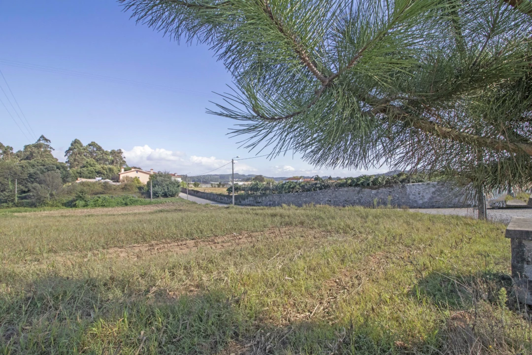Terreno para Venda em Macieira da Maia Foto 3