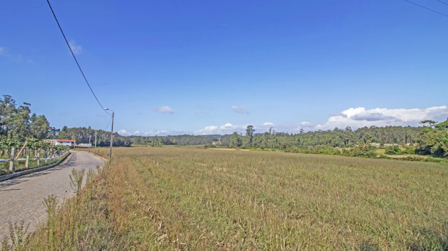 Terreno para Venda em Macieira da Maia