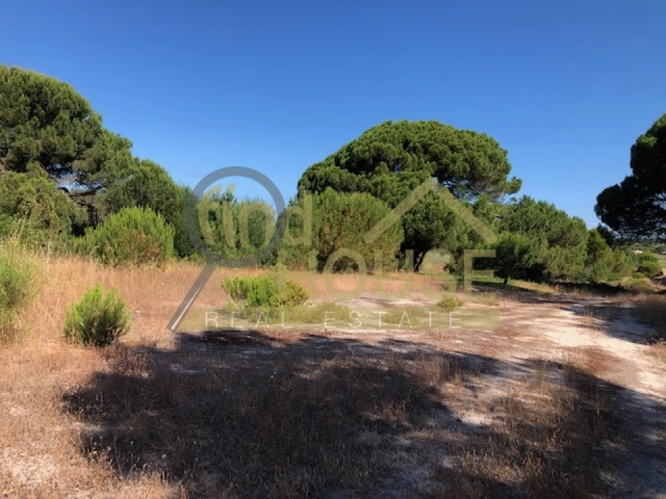 Terreno Agricola ou Rústico para Venda em Melides Foto 3