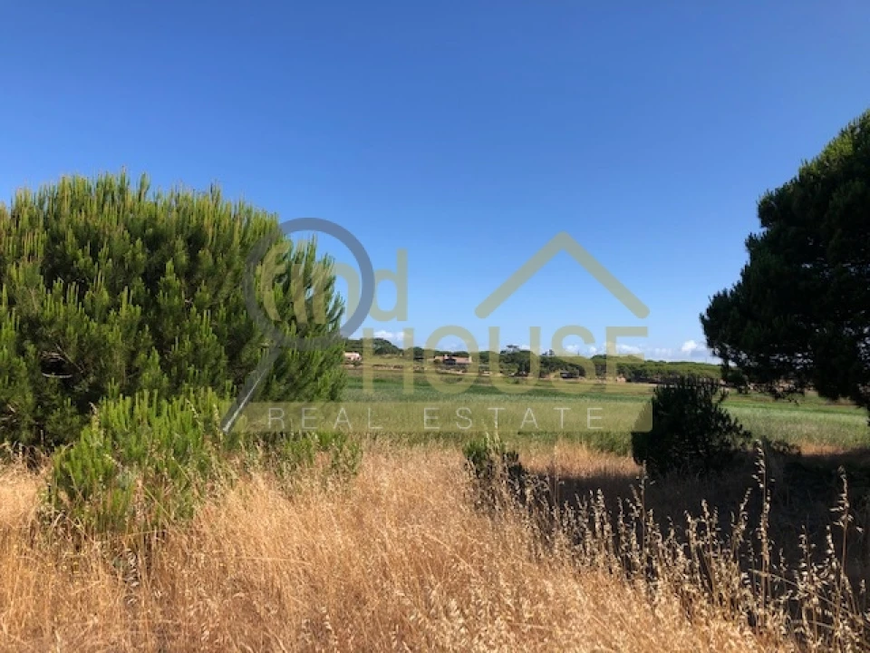 Terreno Agricola ou Rústico para Venda em Melides Foto 5