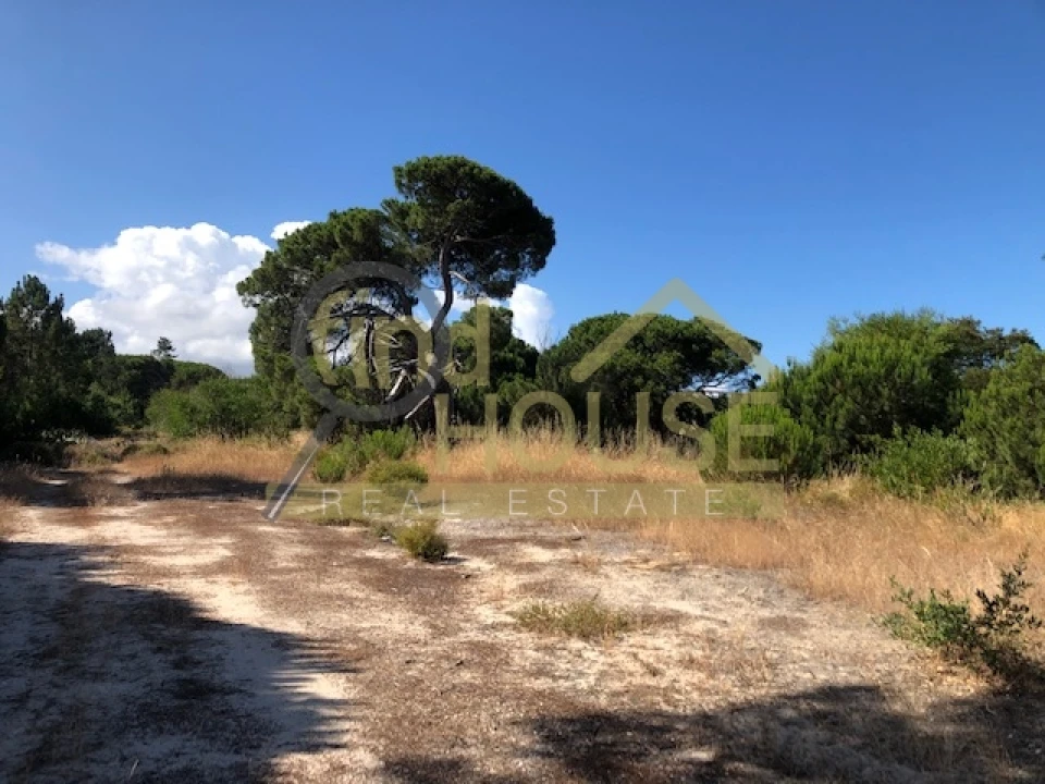 Terreno Agricola ou Rústico para Venda em Melides Foto 10