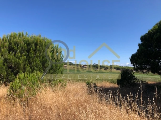 Terreno Agricola ou Rústico para Venda em Melides Foto 5
