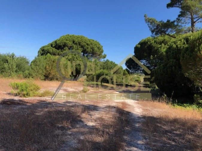 Terreno Agricola ou Rústico para Venda em Melides Foto 2