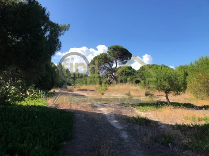 Terreno Agricola ou Rústico para Venda em Melides Foto 8